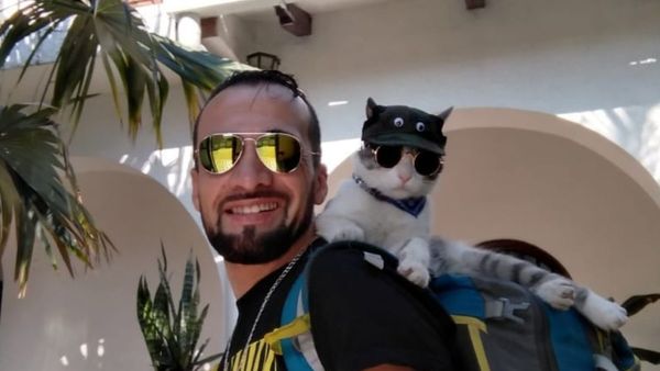 "Me hicieron creer que murió por un ataque, pero Bella sí fue envenenado"