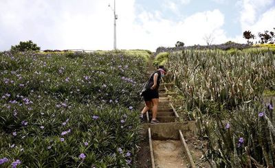 La protección de la capa de ozono evitó un mayor calentamiento del planeta - Ciencia - ABC Color
