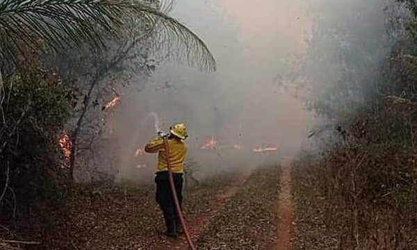 A nivel país reportaron 2.000 focos de incendio - OviedoPress