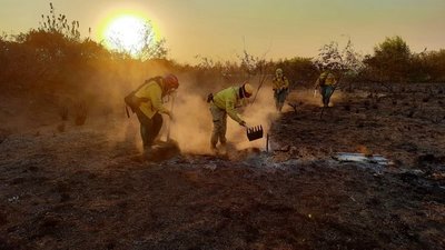 SEN preposiciona materiales para una rápida reacción ante posibles focos de incendios | .::Agencia IP::.