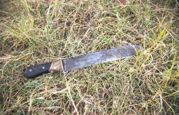 Diario HOY | Discutió con su hermana y remató por su sobrino de 3 años hiriéndolo con machete