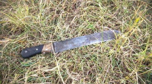 Mujer macheteó a su sobrinito de 3 años en el cuello - Noticiero Paraguay