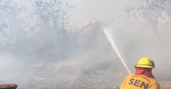 Reportan incendio de gran magnitud en barrio Santa Ana