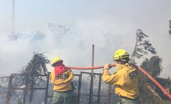 Diario HOY | Incontrolable incendio en el bañado sur