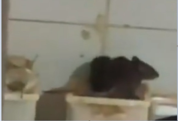 Municipalidad de Asunción envió a SEDECO denuncias por insalubridad contra Long Bar