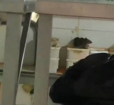 Denuncian maltrato e insalubridad en Long Bar: “Lo que no es negociable es que se tienen que ir” | Ñanduti