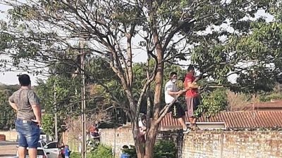 Operación ka'i con tal de  ver jugar a sus hijos
