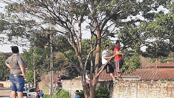 Operación ka'i con tal de ver jugar a sus hijos