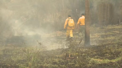 Incendio consumió cañaveral en Arroyos y Esteros - C9N