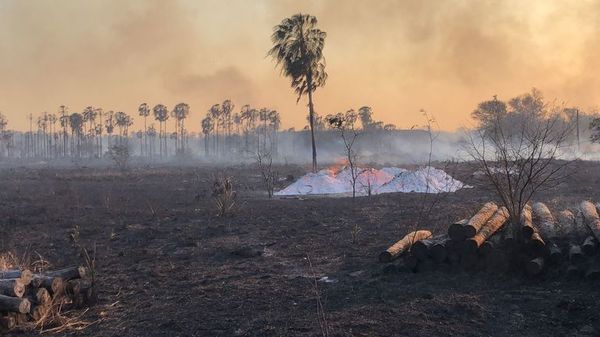 Focos de incendio en varios puntos del país, reportan