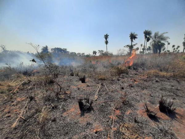 Roa: solo queda instar a que la gente no queme para evitar incendios - Nacionales - ABC Color