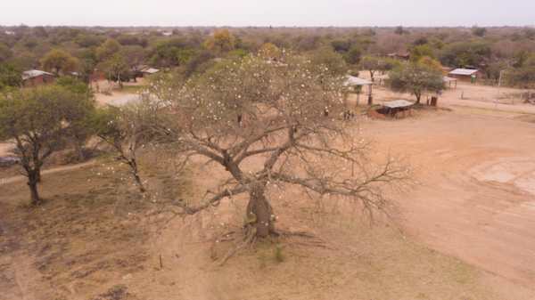 Diario HOY | Prosiguen las expediciones de la 10ma edición de los “Colosos de la Tierra”