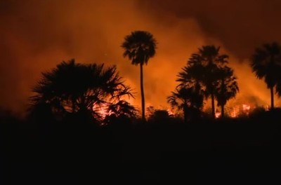 Incendio de gran magnitud en Tarumandy - C9N