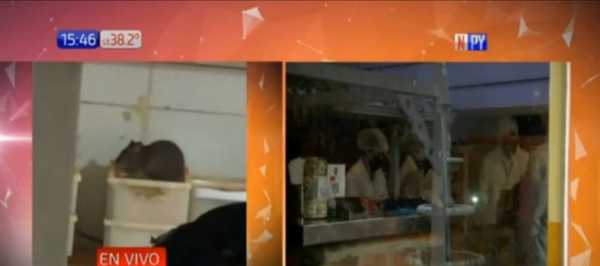 Intervienen populoso bar de Asunción ante denuncias de insalubridad | Noticias Paraguay