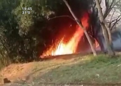 Incendios en todo el país: ¡PAREN DE QUEMAR! - SNT