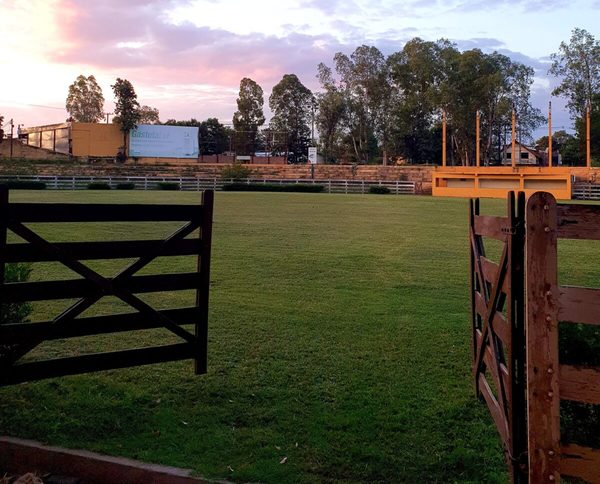 ARP definió el programa de juras y remates para la 75° Expo Nacional de Ganadería