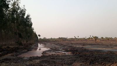 Fiscalía constata inhabilitación de empresa investigada por contaminación de Lago Ypoá