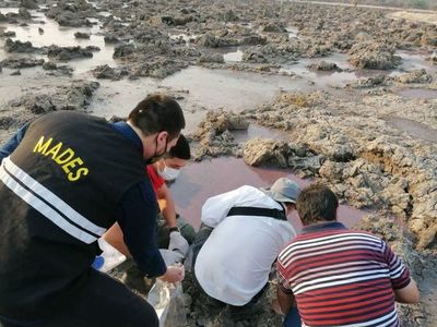 Allanan empresa procesadora de cuero para levantar evidencias  - Nacionales - ABC Color