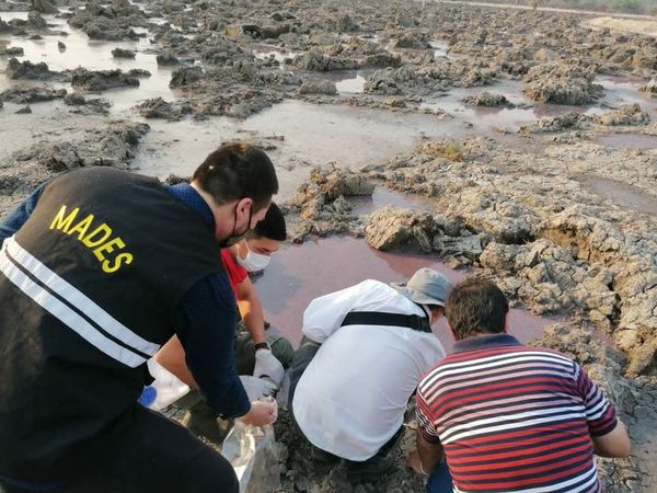 Allanan empresa procesadora de cuero para levantar evidencias - Nacionales - ABC Color