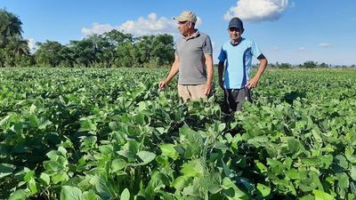 Sequía amenaza con nuevo atraso en la siembra de soja