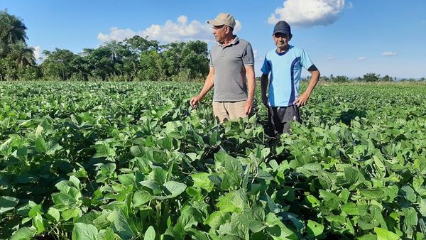 Sequía amenaza con nuevo atraso en la siembra de soja