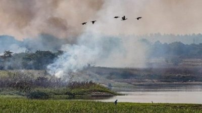 WWF advierte que Paraguay está en riesgo por cambio climático | Noticias Paraguay