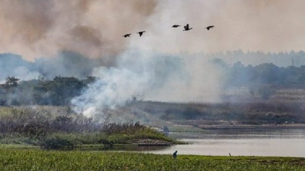 WWF advierte que Paraguay está en riesgo por cambio climático | Noticias Paraguay