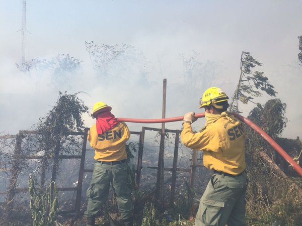 Critican limitado compromiso de Paraguay con el medio ambiente y llaman a evitar incendios - MarketData