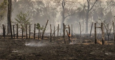 Se necesitan acciones concretas para mitigar los efectos del fenómeno climático | OnLivePy