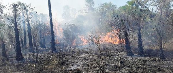 Boquerón registra pocos focos de incendio, pero instan a extremar cuidados - Nacionales - ABC Color