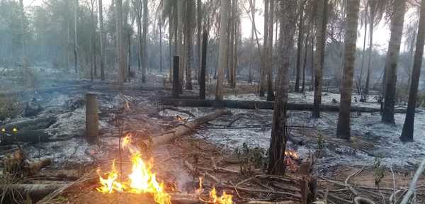 En tres días, bomberos recibieron más de una veintena de llamadas sobre quema de pastizales | Radio Regional 660 AM
