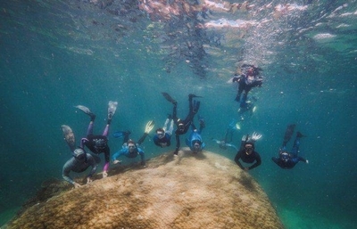 Diario HOY | Submarinistas hallan enorme coral de 400 años en Gran Barrera australiana
