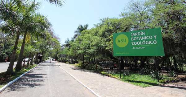 El zoológico estará cerrado hasta que haya “aprobación para abrirlo”, afirma directora | Ñanduti