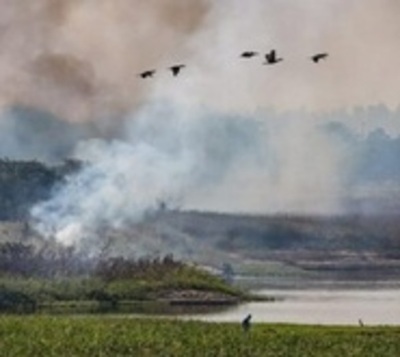 Paraguay corre riesgo por cambio climático, advierte WWF - Paraguay.com