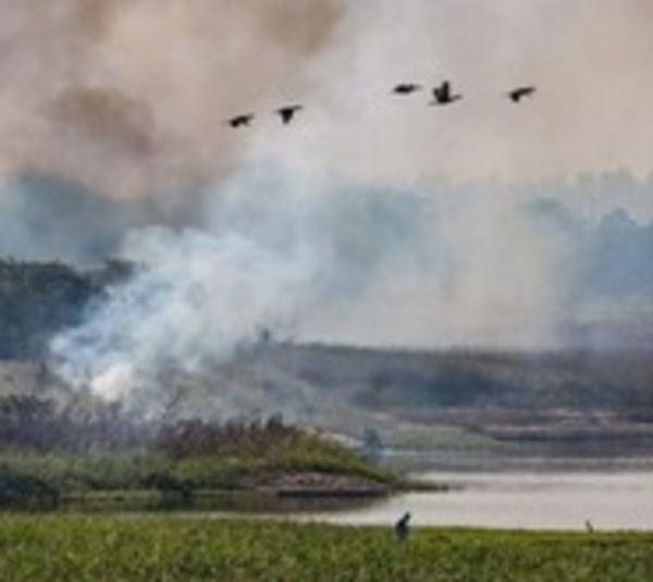 Paraguay corre riesgo por cambio climático, advierte WWF - Paraguay.com