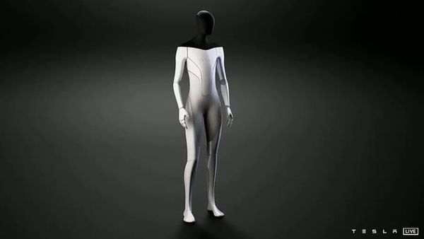 Elon Musk presentó a Tesla Bot, el robot humanoide: "Amistoso, elimina tareas peligrosas y aburridas", explicó