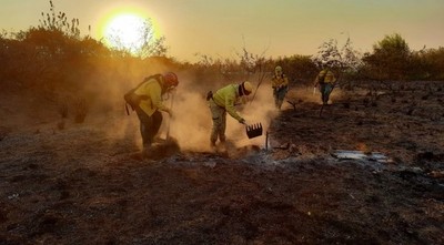 COMBATE A INCENDIOS: SEN PREPARA «REACCIÓN RÁPIDA» A NIVEL PAÍS