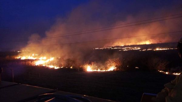 Incendios forestales y de pastizales se triplican en el departamento de Caazapá - Nacionales - ABC Color