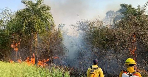 La Nación / Incendios en Minga Guazú: bomberos tienen solo el 5% del equipo requerido