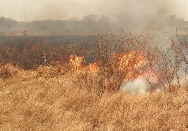 Comunidad nativa reitera pedidos después de ser afectada por incendio | Radio Regional 660 AM