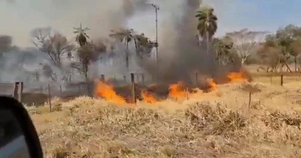 Desolación e impotencia: Parque Nacional Cerro Corá arde en llamas