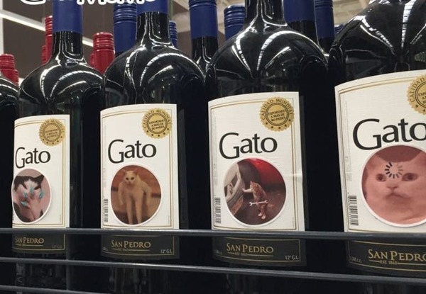 ¡Real! Pegó memes de gatos en botellas de vino Gato y ahora trabajará con la marca