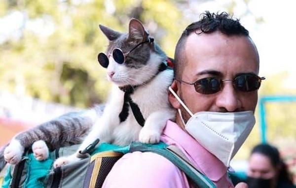 Diario HOY | Dueño de "el gato mochilero" pone en duda resultados de necropsia y niega ataque de perros