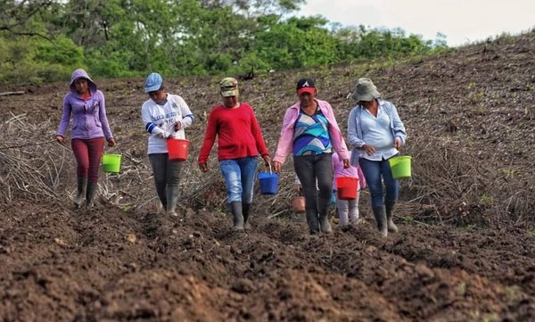 Esta es la plataforma web sobre el empoderamiento de mujeres rurales en América