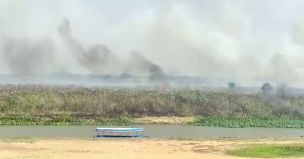 La Nación / Bomberos de Concepción recibieron 15 reportes de incendios en las últimas 72 horas