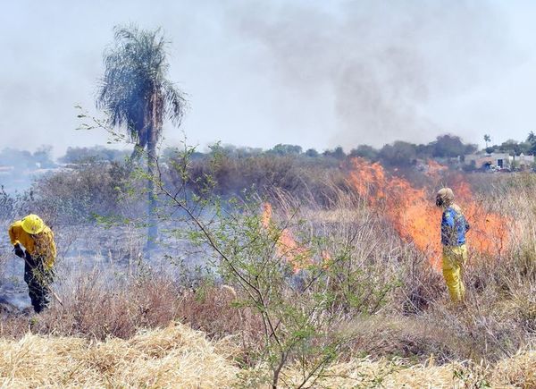 Bombero forestal:“Es injusto que ganaderos quemen a mansalva” - Nacionales - ABC Color