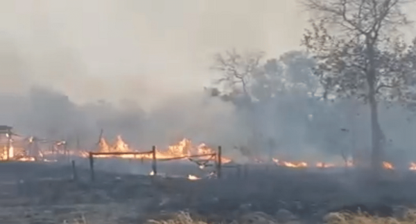 Salud advierte que incendios forestales pueden causar daños en el organismo | Ñanduti