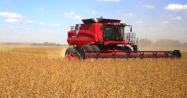 La Nación / Se esperan temperaturas máximas de hasta 40 °C en toda el área agrícola nacional