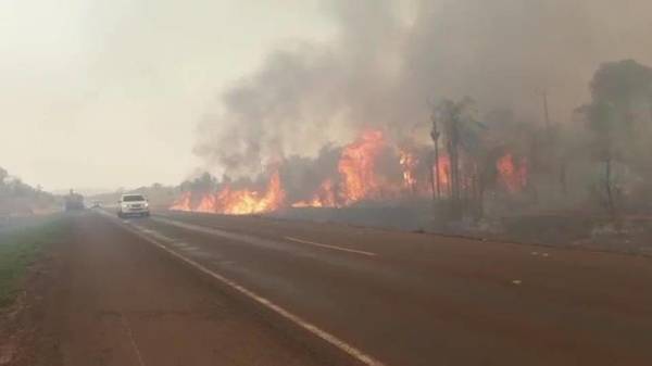 Alrededor del 50% del Parque Nacional Cerro Corá es afectado por el incendio | Ñanduti