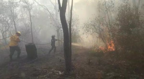 Bomberos voluntarios advierten contra donaciones a personas fuera de la institución - Nacionales - ABC Color